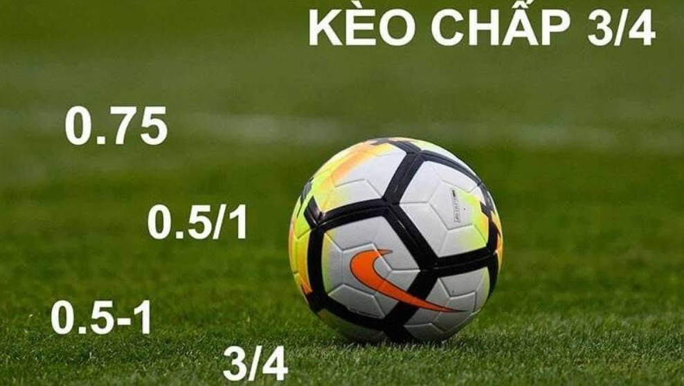 Chơi cược kèo châu Á tỷ lệ chấp 0.5